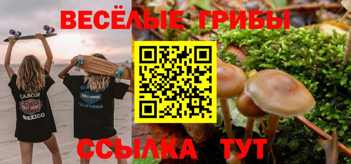 Псилоцибиновые грибы Magic Shrooms Нижний Тагил